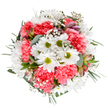 This Harmondsworth arrangement is a true celebration of fresh beginnings and heartfelt joy. Blooms of crisp white daisies, their golden-lime centres glowing, nestle among generous coral-pink carnations whose plush, ruffled petals layer warmth and conviviality. Wispy sprigs of baby's breath bring a star-like sparkle, spreading lightness throughout the bouquet and echoing the open, airy lanes around Harmondsworth Green. Subtle hints of blush-pink alstroemeria and gentle sprays of eucalyptus contribute both soothing aroma and tonal harmony. The circular design, captured from above, creates a mood of tranquil exuberance-each flower thoughtfully chosen to uplift and delight, much like the compassionate service known throughout Harmondsworth. Whether gracing a milestone birthday table or offering cheering comfort on a cloudy afternoon, this arrangement radiates both the skilled artistry and heartfelt spirit of the local community.